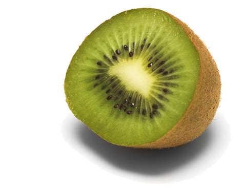 kiwi fruit  photo  freeimages