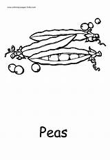 Coloring Pages Vegetable Color Vegetables Nature Food Peas Kids Printable Sheets Found sketch template