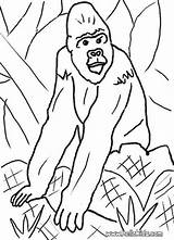 Gorilla Coloring Pages Ausmalen Popular Zum sketch template