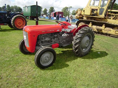 image massey ferguson  restored driffield pjpg tractor