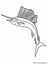 Swordfish Parrot Getcolorings Archerfish Coloringbay Bird sketch template