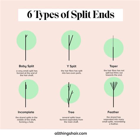 split ends learn   prevent damage  hair