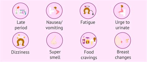 Pregnancy Symptoms At First Month