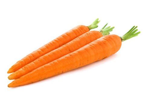 wortel lokal  gr fitco