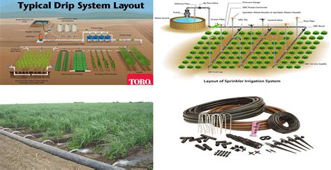 types  irrigation system advantages  disadvantages engineering discoveries