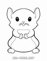 Hamster Chomik Kolorowanki Hamsters Coloriage Dzieci Kleurplaat Kleurplaten Getcolorings Manatee Wydruku Gaddynippercrayons Coloring sketch template