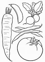 Coloring Vegetables Pages Choose Board Color sketch template