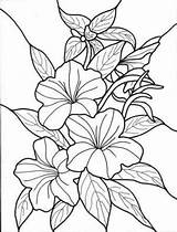 Flower Exotic Pages Coloring Getcolorings sketch template