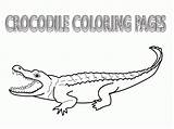 Crocodile Coloring Pages Outline Color Drawing Crocodiles Colour Kids Printable Alligator Clipart Sheet Simple Easy Popular Paintingvalley Library Books sketch template