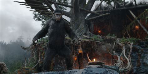 These Are The Best Parts Of Dawn Of The Planet Of The Apes