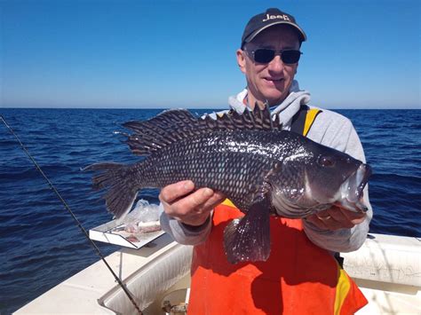 Black Bass Caught Aboard The Healthy Grin March 2020 Coastal Angler