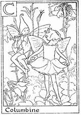 Fairies Columbine Fee Coloring4free Colouring Fadas Colorir Barker Cicely Girls sketch template