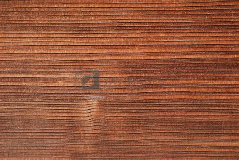 timber texture  yaywreyn vectors illustrations