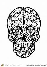 Mort Tete Mexicain Crane Squelette Skull Calaveras Sugar Sucre Mexicaine Tatouage Crâne Mexicanas Multiples Calavera Tête Muertos Caveira Calaveritas Extraordinaire sketch template