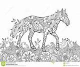 Coloring Horse Zentangle Doodle Meadow Running Flowering Inspired Style Horizontal sketch template