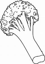 Cauliflower Sesame sketch template