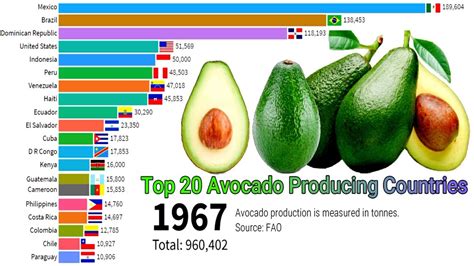 Biggest Avocado Variety With The Large Volumes Shipped Mainly By