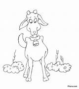 Coloring Goat Kids Pages Domestic Animals Collection Goats Funny Pitara sketch template