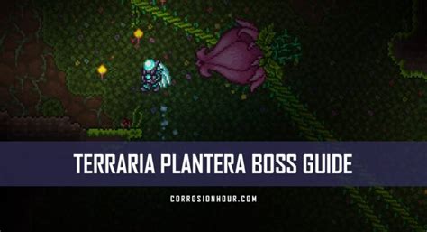 Terraria Plantera Boss Guide Corrosion Hour