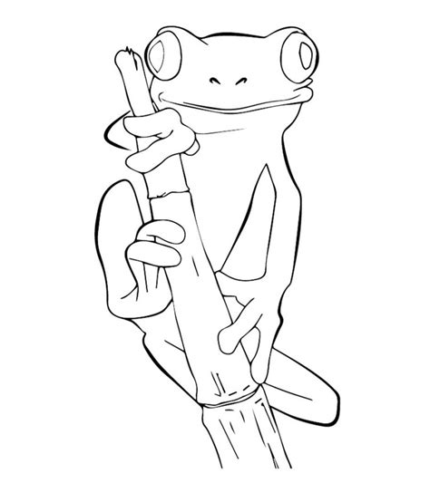 delightful frog coloring pages