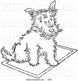 Sitting Scottie Rug Dog Historical Outlined Version Illustration Al Vector Picsburg sketch template