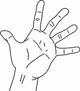 Hand Palm Clipart Drawing Measurements Without Span Finger  Transparent Paintingvalley Drawings Webstockreview sketch template