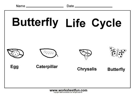 butterfly worksheets kindergarten worksheetocom