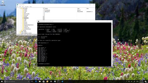 edit  registry  command prompt  windows  windows