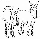 Burros Colorear Burro Donkeys Anipedia Paginas sketch template