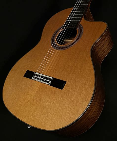 C7 Ce With Humicase Hardshell Case Cordoba Wildwood Guitars