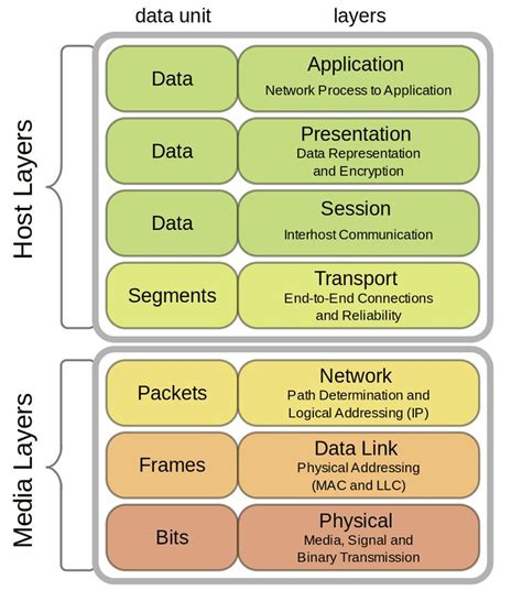 The Osi Model Explained In Easy Steps Osi Model Networking Basics