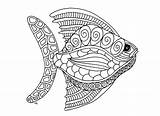 Coloring Adults Animal Fish Adult Animals sketch template
