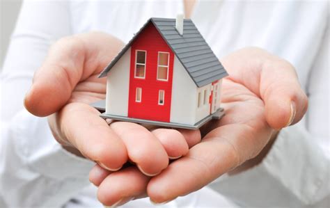 payment assistance programs  purchase homes  texas