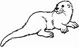 Otter sketch template
