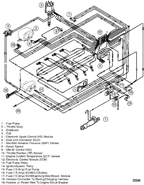 mercruiser  wiring diagram cadicians blog