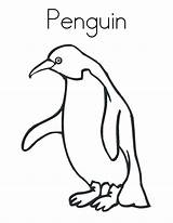 Penguin Coloring Pages Print Penguins Kids Printable Cartoon Baby Cute Color Clipart Clip Club Outline Antarctica Colouring Sheets Template Cliparts sketch template