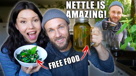 nettle  amazing foraging   food youtube