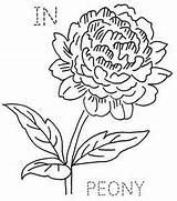 Indiana Peony Drawing Flower State Embroidery Flickr Template Via Getdrawings Flowers Coloring Tattoo English Vintage sketch template