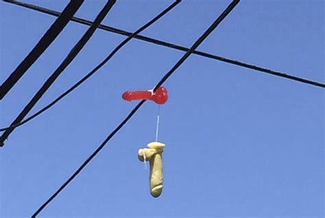 hundreds of dildos dangle from power lines in bizarre