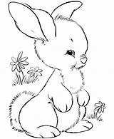 Coloring Woodland Pages Easter Bunny Animals Creatures Girl Easy Cute Printable Getcolorings Little Getdrawings Colorings sketch template