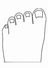 Toes Tenen Kleurplaat Dedos Colorare Zehen Malvorlage Piedi Toe Foot Grote Disegni sketch template