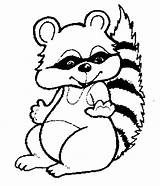 Raccoon Coloring Pages Printable Kids Racoon Raccoons Cliparts Animals Sheets Kissing Hand Animal Baby Attribution Forget Link Don Enjoy Choose sketch template