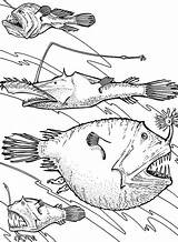 Fish Sea Deep Coloring Pages Angler Size Color Print Tocolor Button Using sketch template