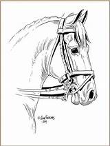 Horse Dressage Lena Pferde Furberg Zeichnen Ausmalbilder Pferd Ausmalen Tutorials Pferdekopf sketch template
