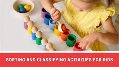 10 Engaging Sorting And Classifying Activities For Preschoolers And