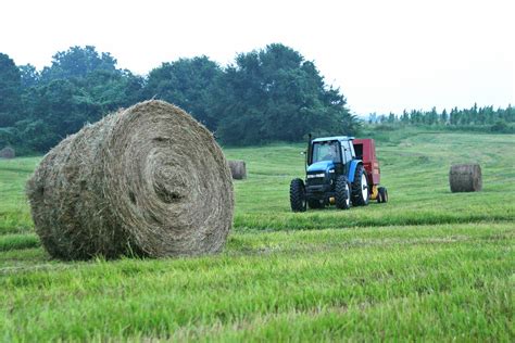 tractor  hay field   photo  freeimages