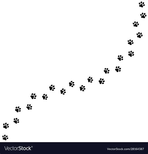 seamless texture  paw print trail  white vector image