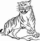 Bengal Tiger Coloring Printable Getcolorings Color Pages sketch template