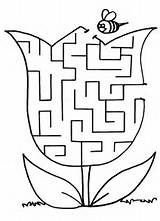 Printable Easy Maze Mazes Flower Kids Coloring Pages sketch template