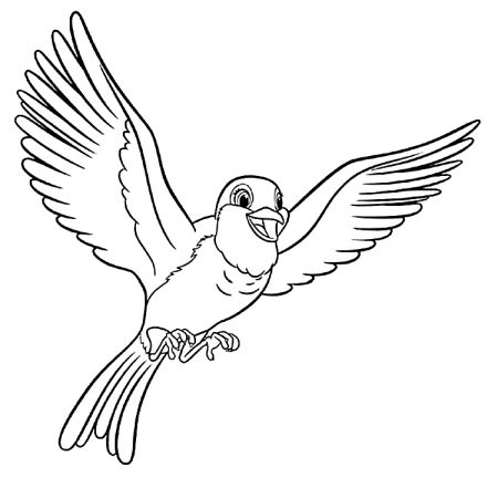robins coloring pages coloringrocks animal coloring pages bird